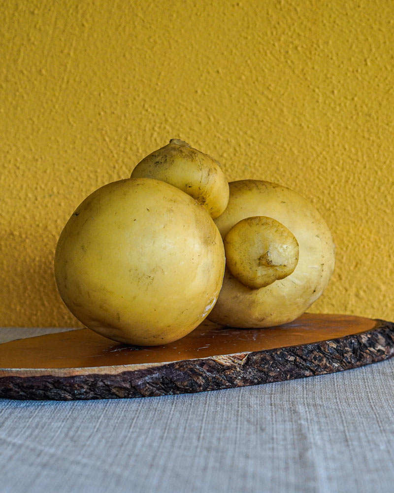 Caciocavalli Affumicati