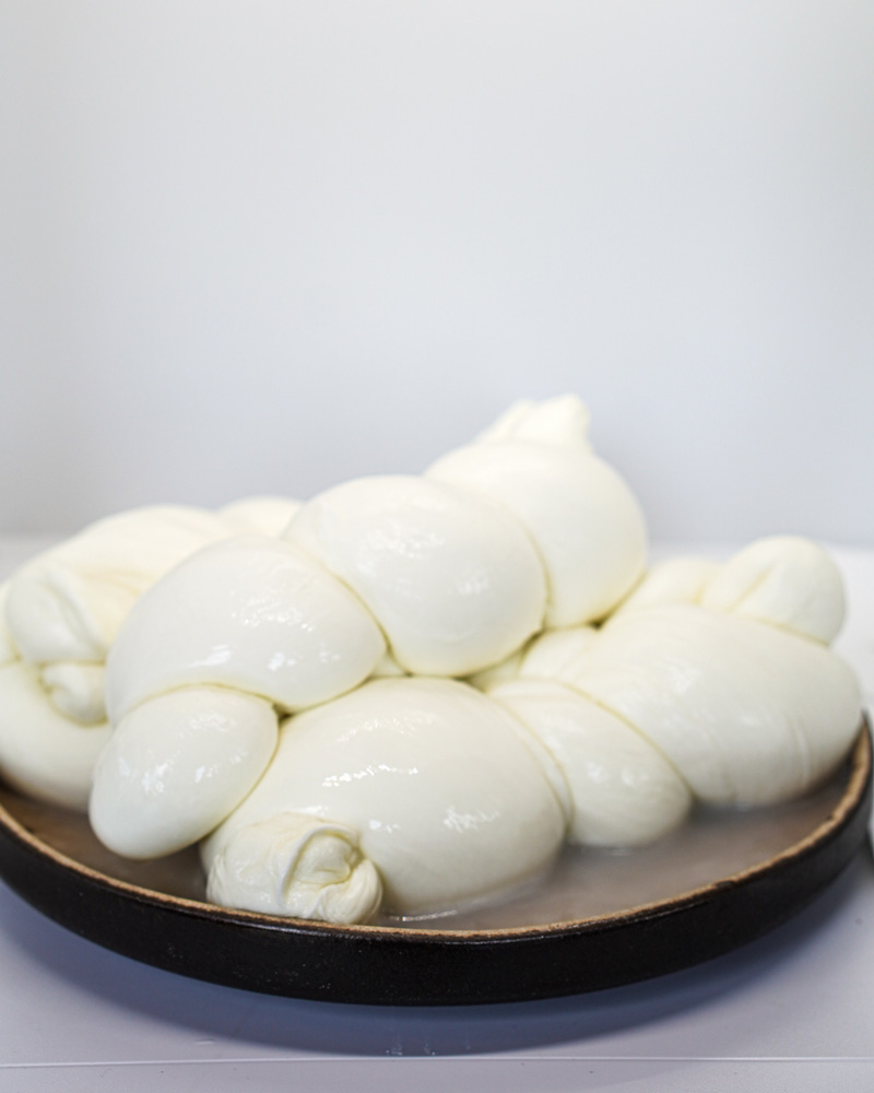 Treccia di Mozzarella