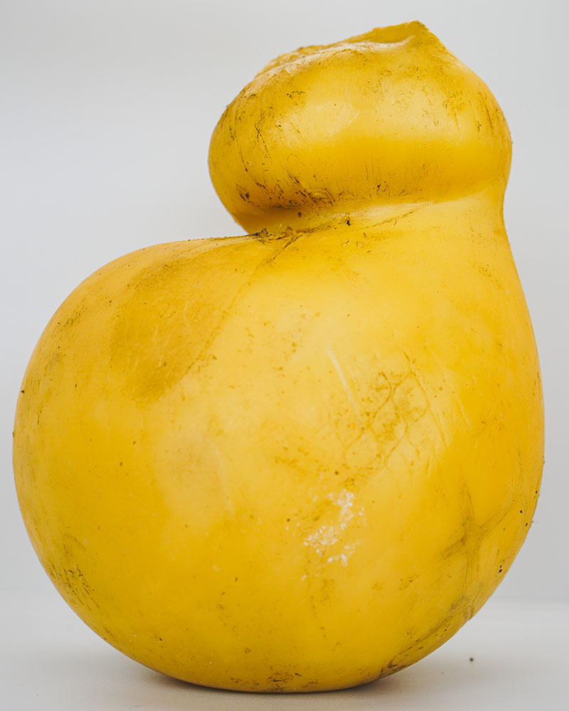 Caciocavallo Affumicato